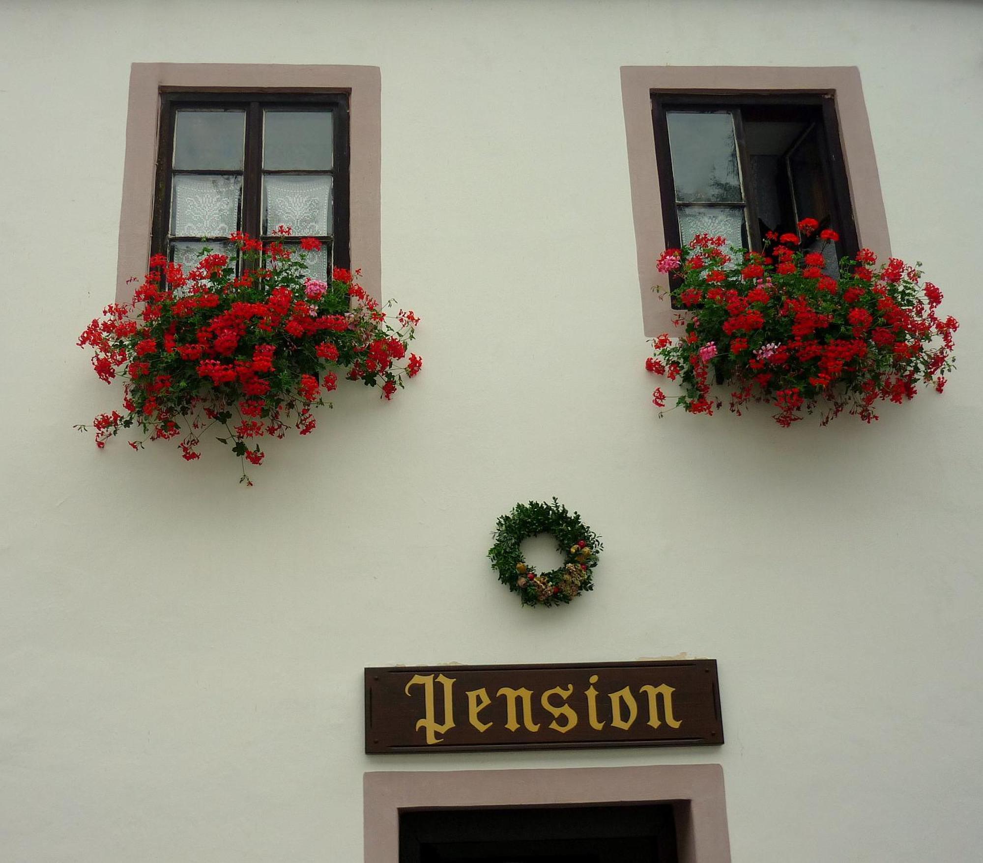 Pension Plesivecka 119 Český Krumlov Εξωτερικό φωτογραφία