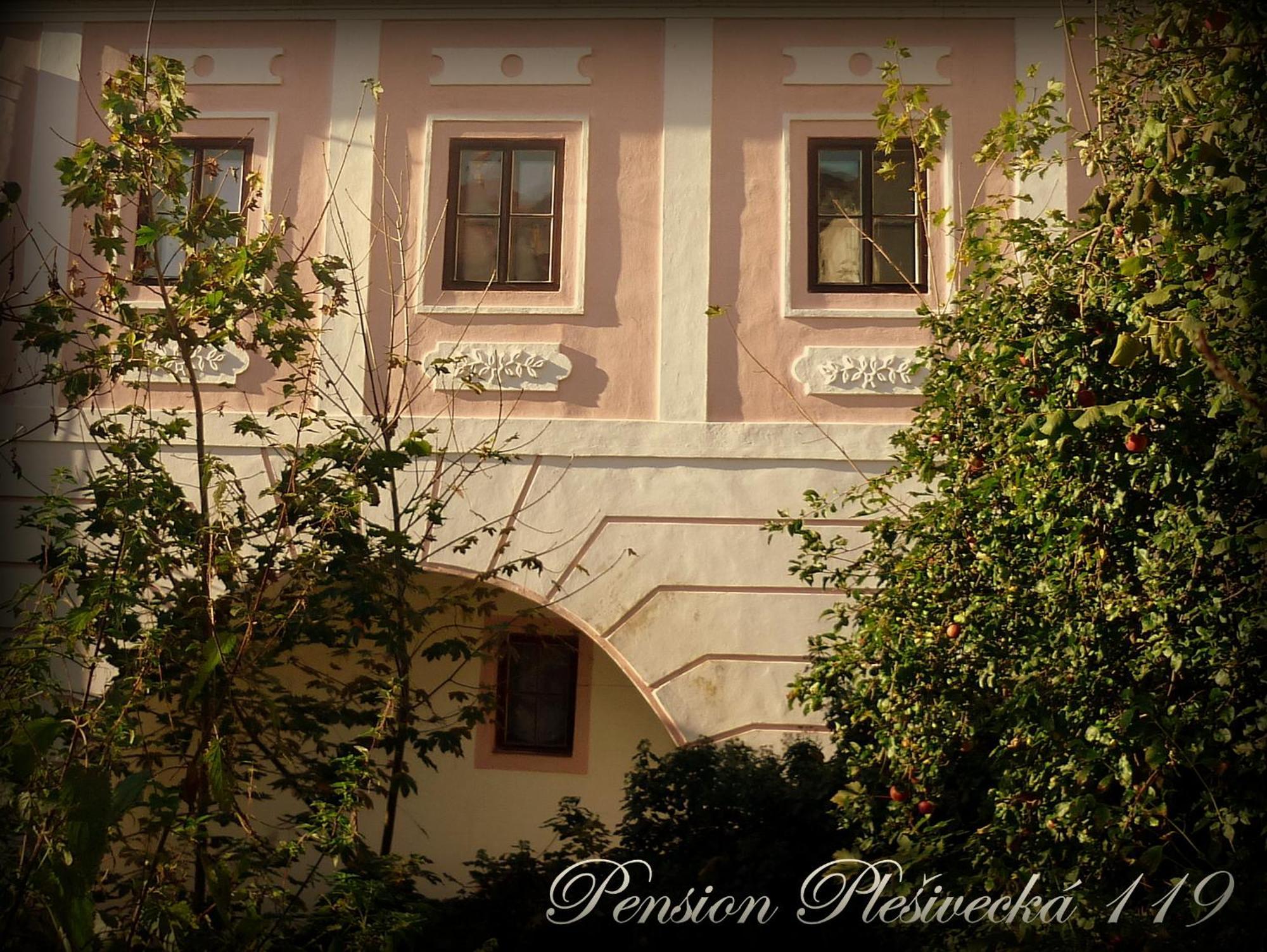 Pension Plesivecka 119 Český Krumlov Εξωτερικό φωτογραφία